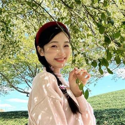 锁龙井